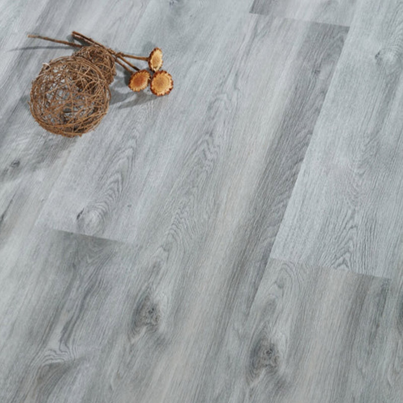 Dove SPC Hybrid Flooring
